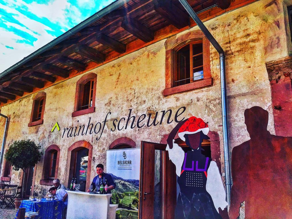 Hotel Rainhof Scheune & Naturpark Restaurant Kirchzarten Kültér fotó
