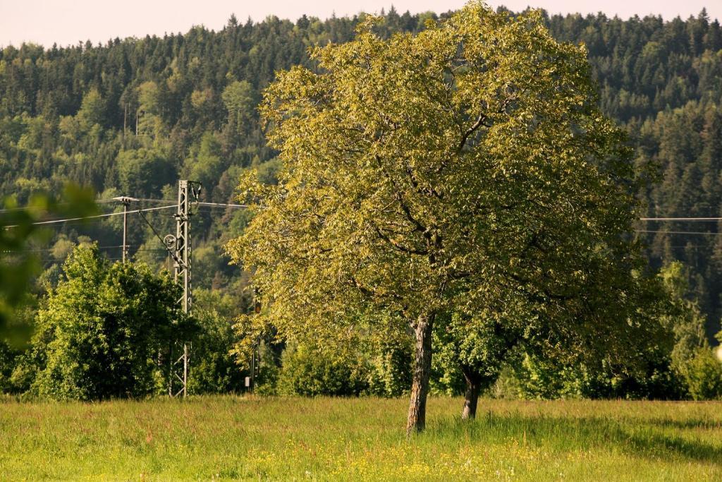 Hotel Rainhof Scheune & Naturpark Restaurant Kirchzarten Kültér fotó